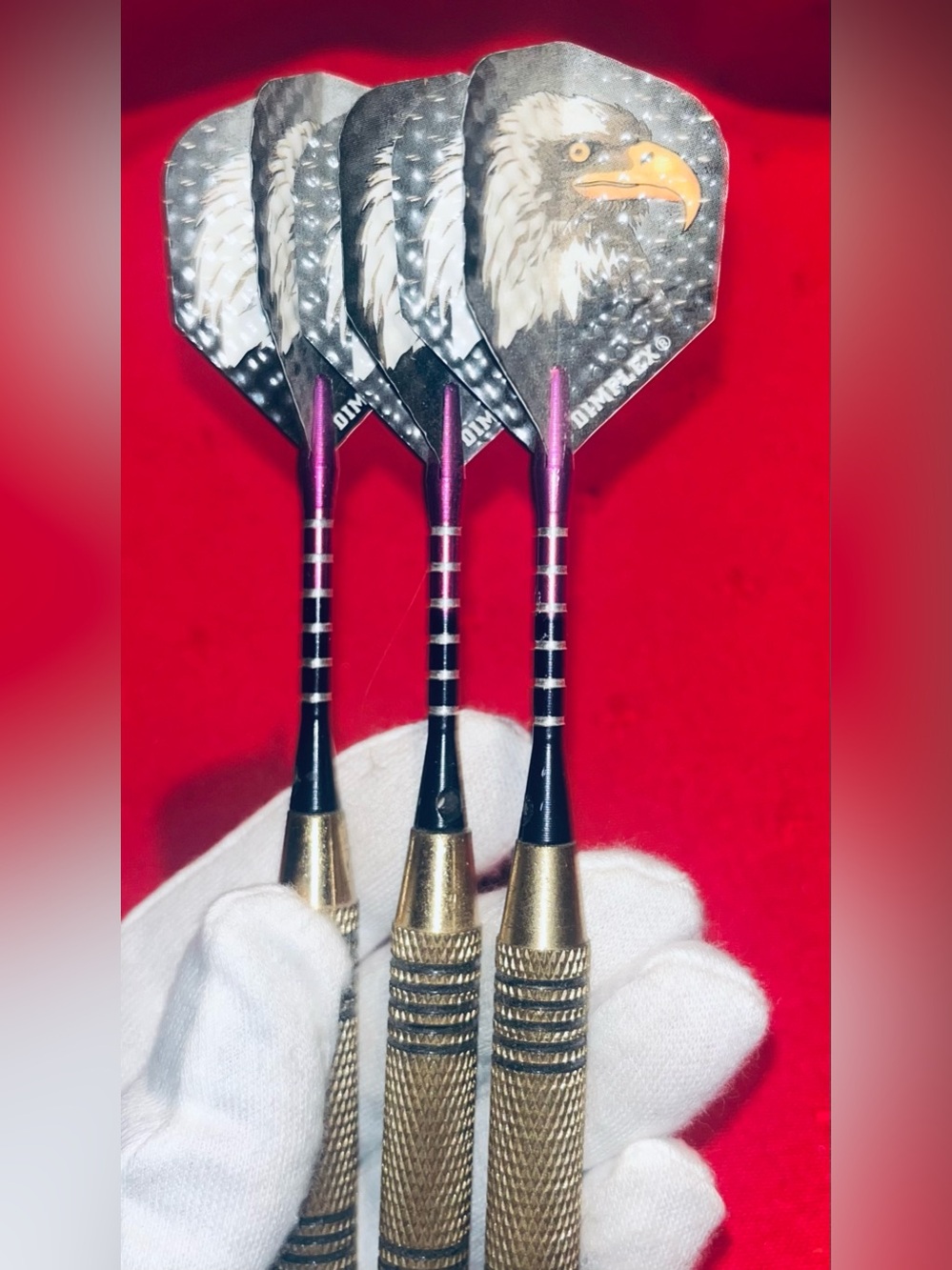 Darts - Picture 2 of 3